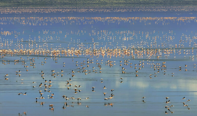 Luo Shaozhen - 07.《烈焰天堂》-罗少珍